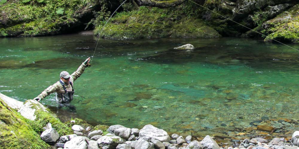 Half Day Fly Fishing Tour